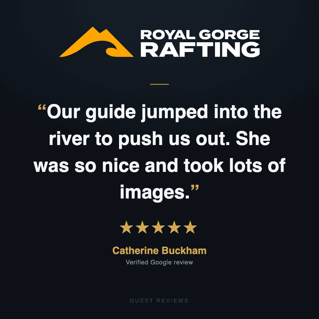 Guest review 2