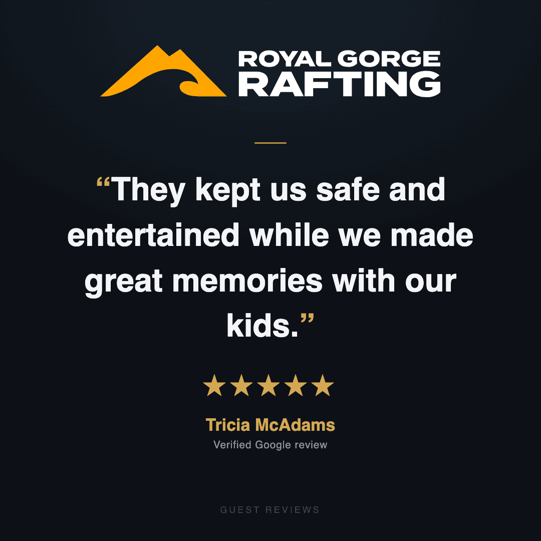 Guest review 9