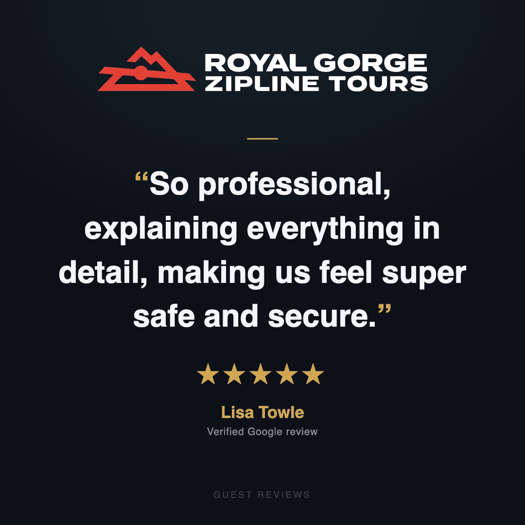 Guest review 5