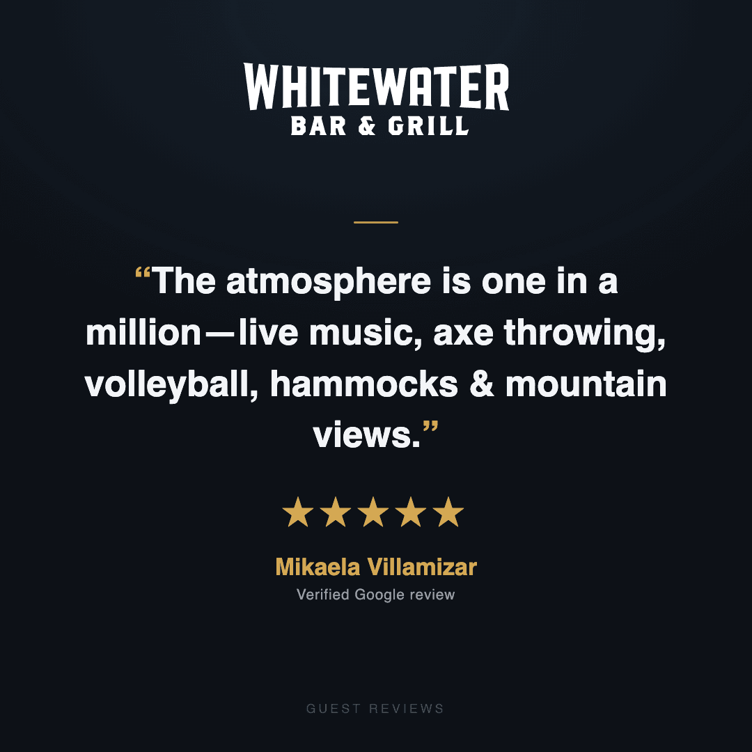 Guest review 11